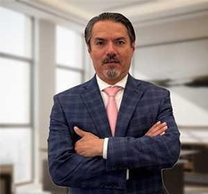 Cross-border legal professional